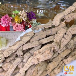 Herbal Products
